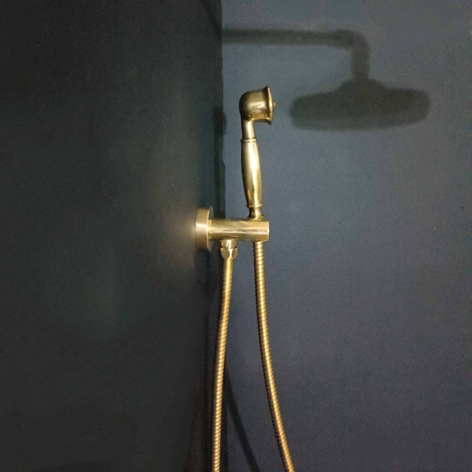 Concealed Shower Calie - Image 4