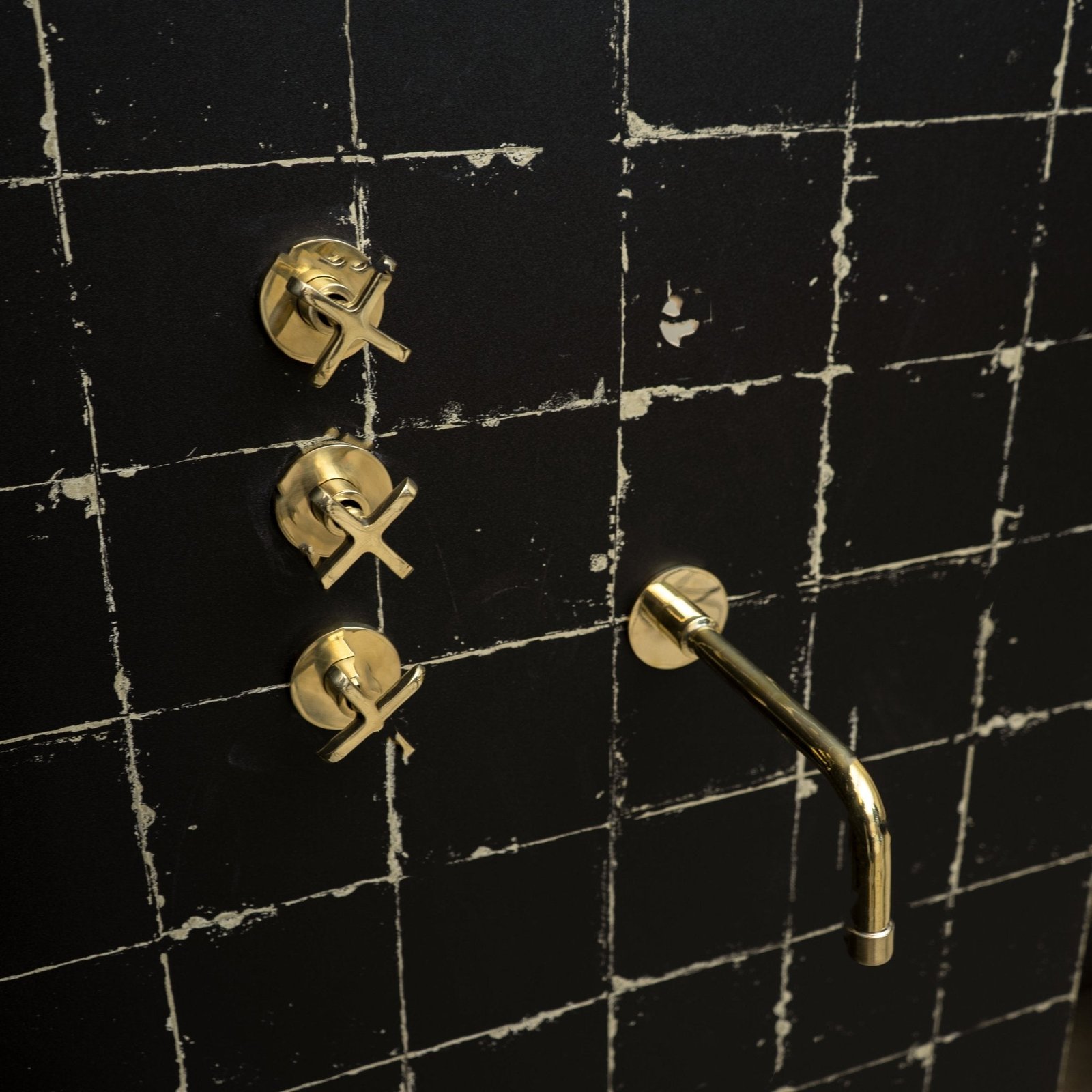 The Fanus Shower System - Image 3