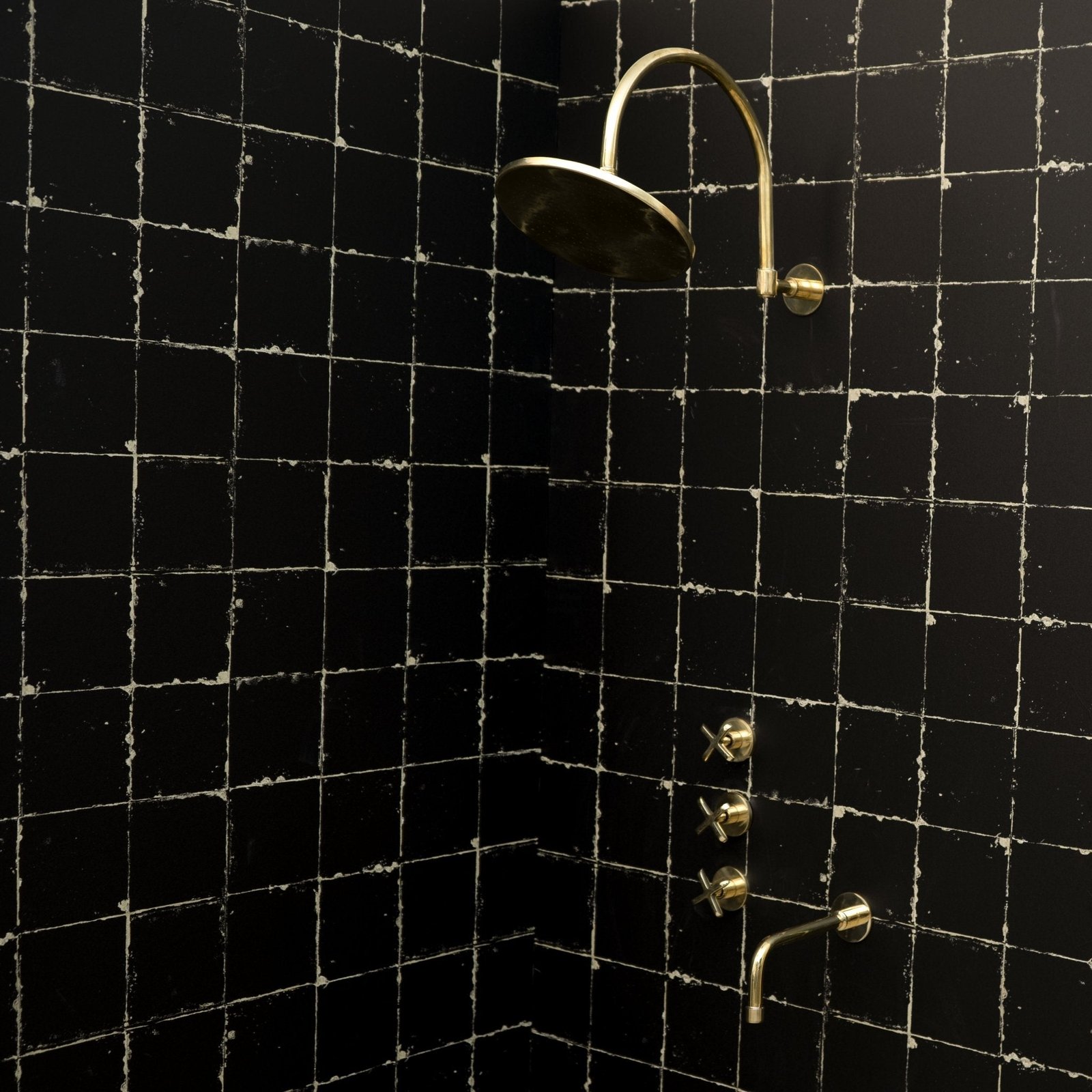 The Fanus Shower System - Image 2