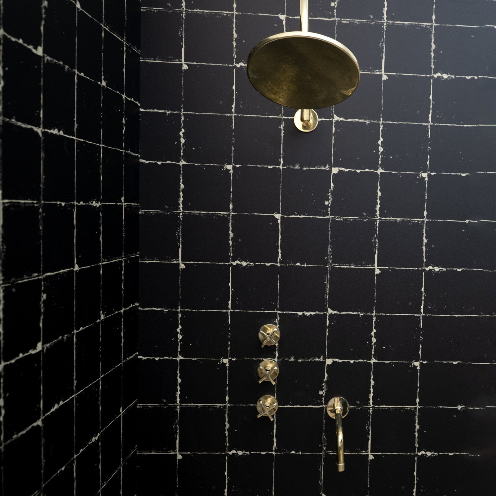 The Fanus Shower System - Image 4